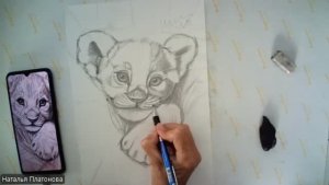 Мальвы (окончание) Львенок (простой карандаш