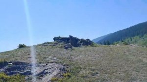 Кату Ярык и чихуахуа Ярик.