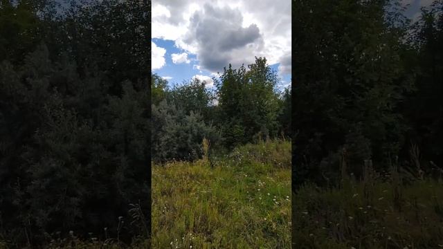 Поездка в Ульяновск #ульяновск #путешествие #велопутешествие смотреть онлайн