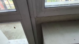 ЗАКАМЕНСКИЙ16 1кст 24м2 видео