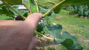 мисс на среднем Урале