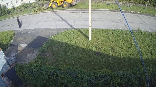 Снесли молодые деревья возле медучилища смотреть онлайн