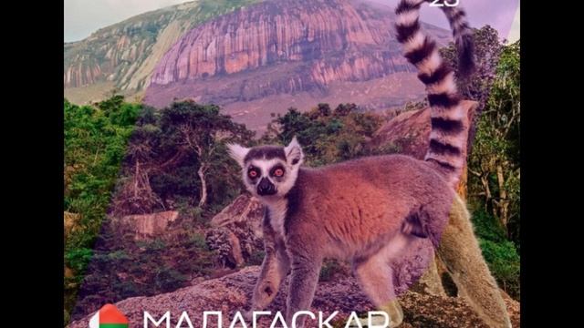Мадагаскар - Интервидение-25 (БРИКС-25)