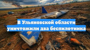 В Ульяновской области уничтожили два беспилотника