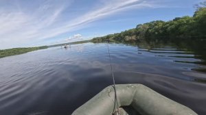 Весь день на воде