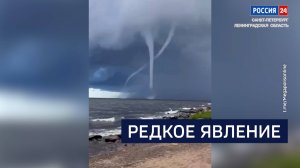 ВЕСТИ 24 Санкт-Петербург от 12.08.2025