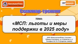 "МСП: льготы и меры поддержки в 2025 году"
