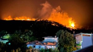 Пожары уничтожили целые города и села в Хорватии, Черногории, Албании, Турции и Испании