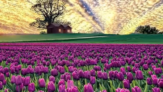 ☪️Слушайте эту суру, Иншаллах, Аллах вознаградить Богатством. 🌿 смотреть онлайн