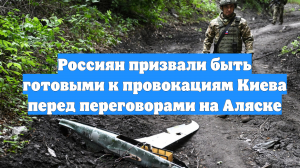 Россиян призвали быть готовыми к провокациям Киева перед переговорами на Аляске