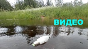 Участок 6.5 соток в Лампово (Гатчинский район Ленобласти)