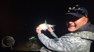 РЫБАЛКА НА ФИДЕР С НОЧЁВКОЙ.ПШЕНО С ГОРОХОМ ПРИМАНИЛО ЛЕЩА. ПОПАЛ В НЕПРИЯТНОСТЬ. КЛЕЩИ МЕНЯ ЛЮБЯТ.