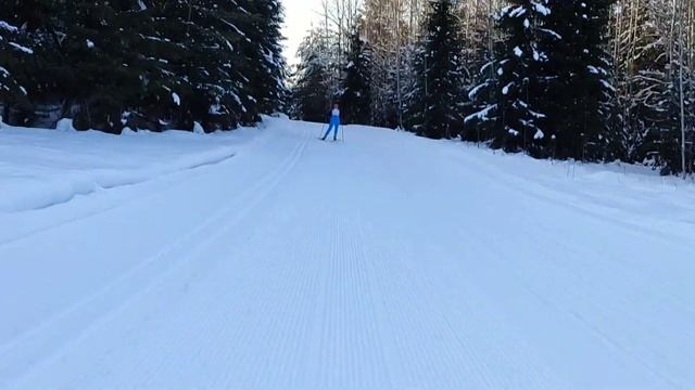 Шижма 2025   #шижма #йошкар-ола #лыжи #лыжныйспорт смотреть онлайн