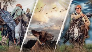 Осенняя охота в Олонце с ПроГусь