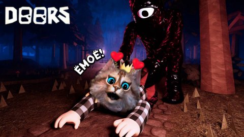 ИГРА СЛОМАЛАСЬ ПОСЛЕ ОБНОВЛЕНИЯ 🙀 РОБЛОКС ДОРС (ROBLOX DOORS) Весёлый Кот