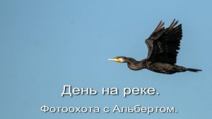 Фотоохота с Альбертом. День на реке. Часть первая.