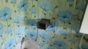 8-11 августа 2025