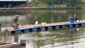 Утро на водоёме