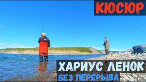 ОТВАЛ БАШКИ! КЮСЮР- ЛЕНОК И ХАРИУС БЕЗ ПЕРЕРЫВА!