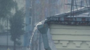 август 2025 v2 4k