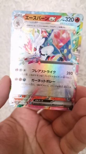 038_pokemon_shorts_japan