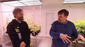 Ускоренная селекция, геномное редактирование, спидбридинг - интервью Дробышевский С.В./ Дивашук М.Г.