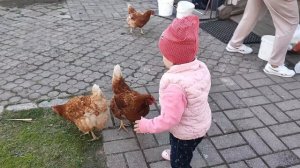 Ника в Белоострове.