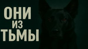 В спальном районе города наступила ночь, тихая и плотная, как забытая книга на полке