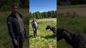 Елена Чистякова о шоу-команде "Идальго". Часть4