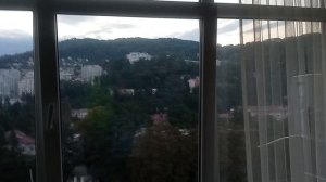 хоста. утро