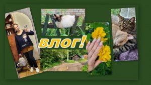 ВЛОГ: ИДЕМ ПОЛУЧАТЬ ЗАКАЗЫ, МОИ ХОТЕЛКИ, ЧОКУПИЛА, БУДНИ...