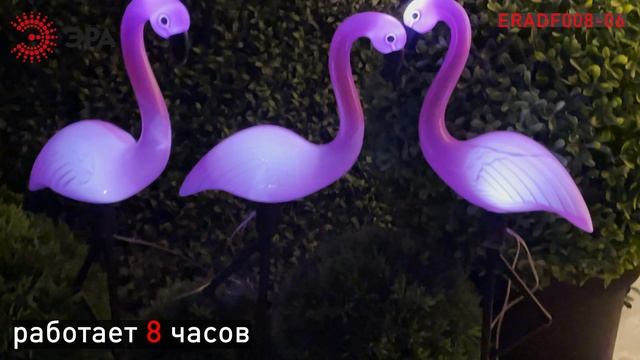 ERADF008-06 II ЭРА Садовый светильник на солнечной батарее смотреть онлайн