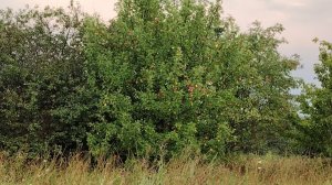 Как интересно❗... РАЕЧКА✅