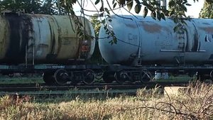 VID_20250812_180858.mp4