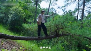 Зови меня Ася - На горах Юньнани повсюду красные шляпки, белые ножки, снова наступил сезон грибов