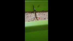 трэш тренировка 2
лошади фигурки попросила выложить