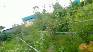 проблема пересорта с которой я столкнулся - часть вторая