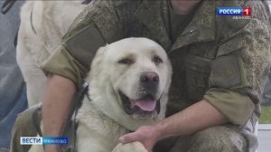 Животных из зоны СВО обследуют в ветеринарном центре Верхневолжского ГАУ #СМИОНАС