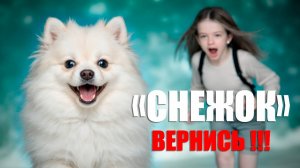 Мой Снежок . История с поводком.