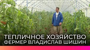 Демянский фермер Владислав Шишин развивает тепличное хозяйство с помощью гранта