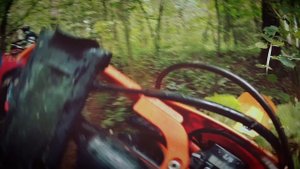 Ралли Дупло Кикиморы 2025