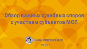 2025-08 МСП Обзор СП