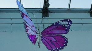 Добрый вечер 🫶прогулка 🚶