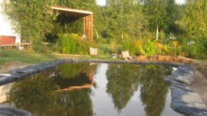 Создание пруда для карпов кой.