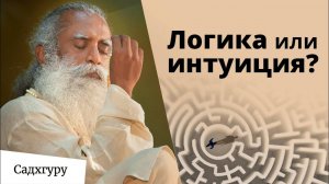 Что такое интуиция Можно ли доверять интуиции