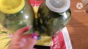 Ловите новый рецепт заготовки огурчиков