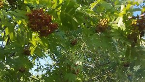 Какая погода в Архангельске и на Белом море