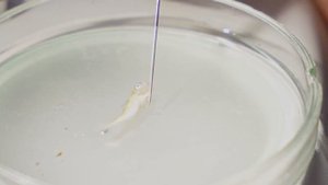 Саратовский филиал ВНИРО — 125 лет на защите рыбных запасов