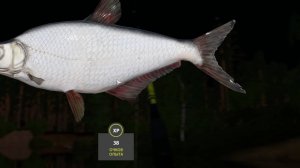 поймал белоглазку