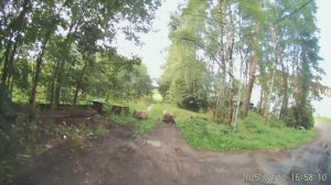 Питбайк Apollo 140сс